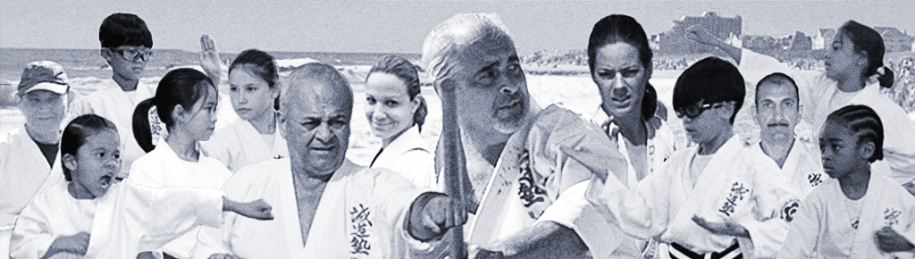 Staten Island Seido Karate