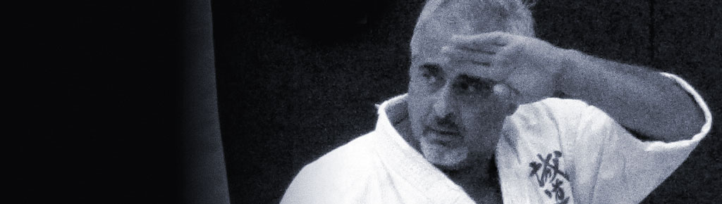 Staten Island Seido Karate